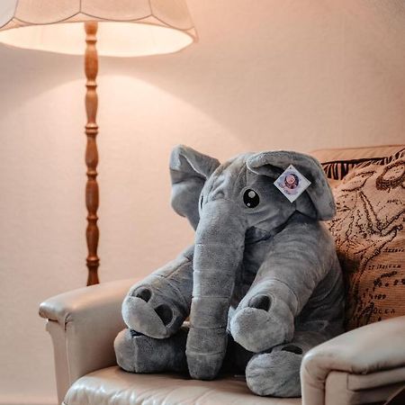 Olifant In Osterode Apartman Osterode am Harz Kültér fotó