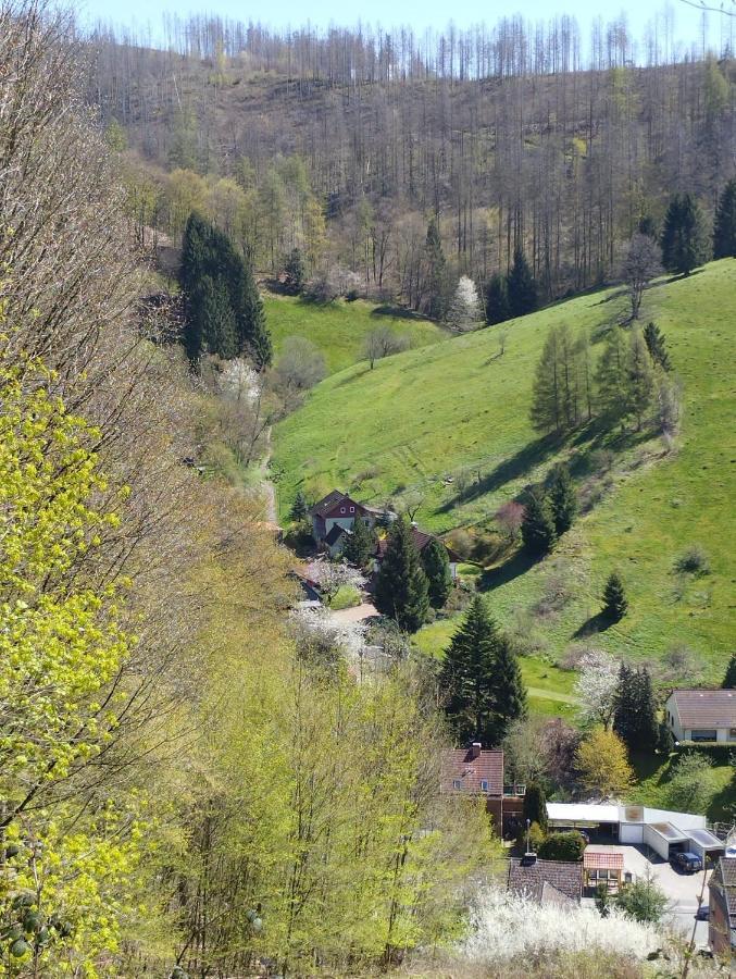 Olifant In Osterode Apartman Osterode am Harz Kültér fotó