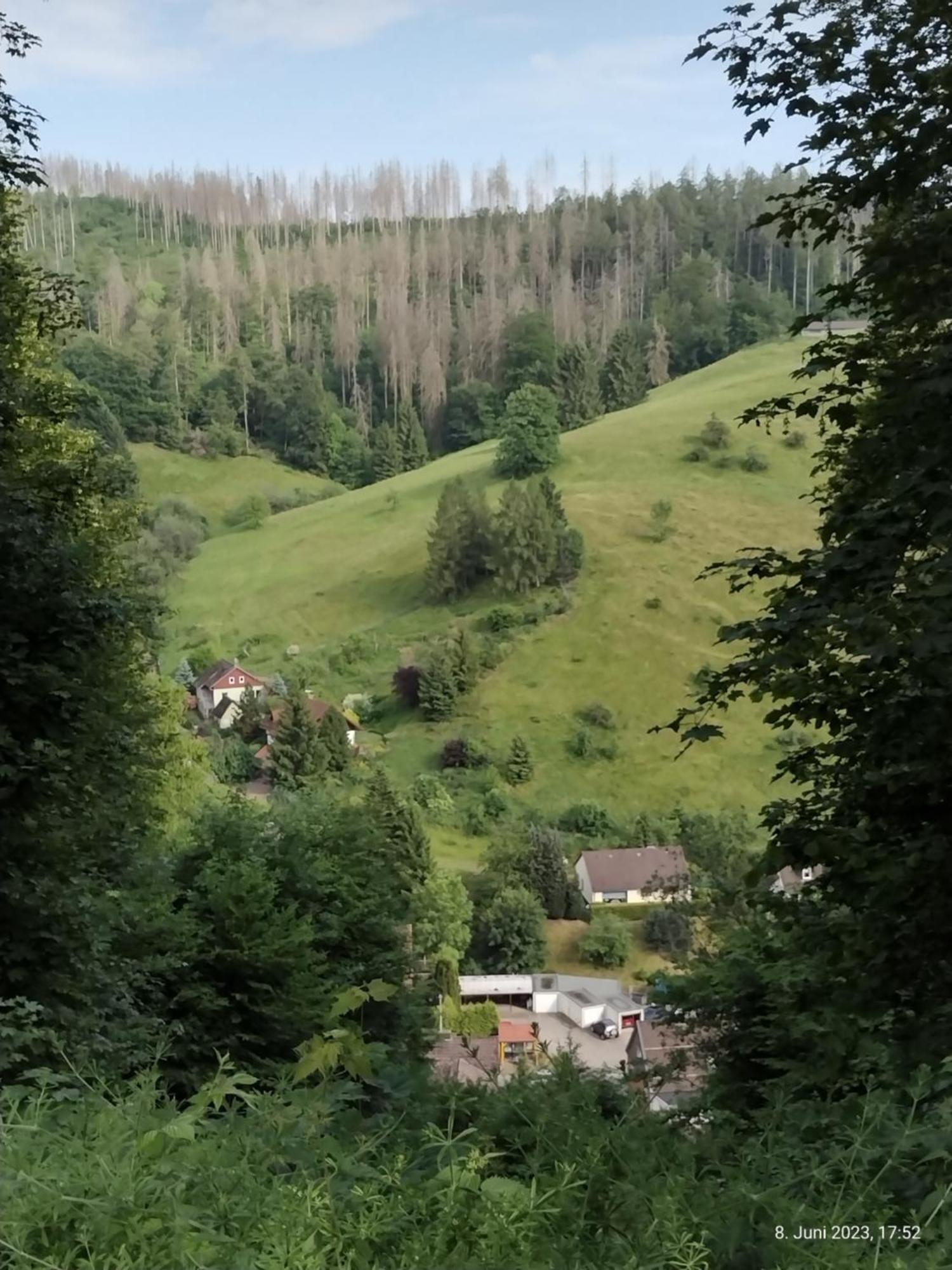 Olifant In Osterode Apartman Osterode am Harz Kültér fotó
