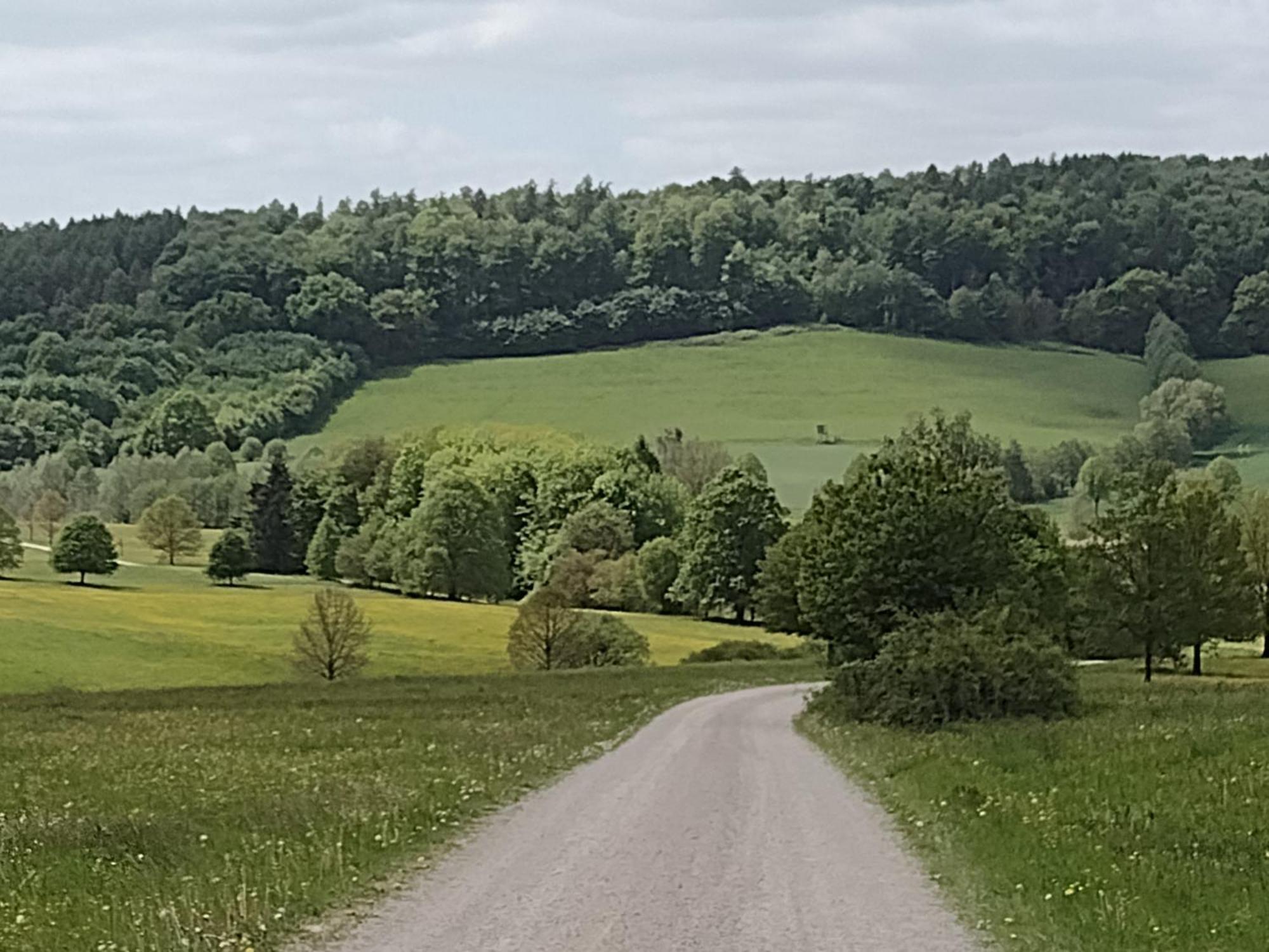 Olifant In Osterode Apartman Osterode am Harz Kültér fotó