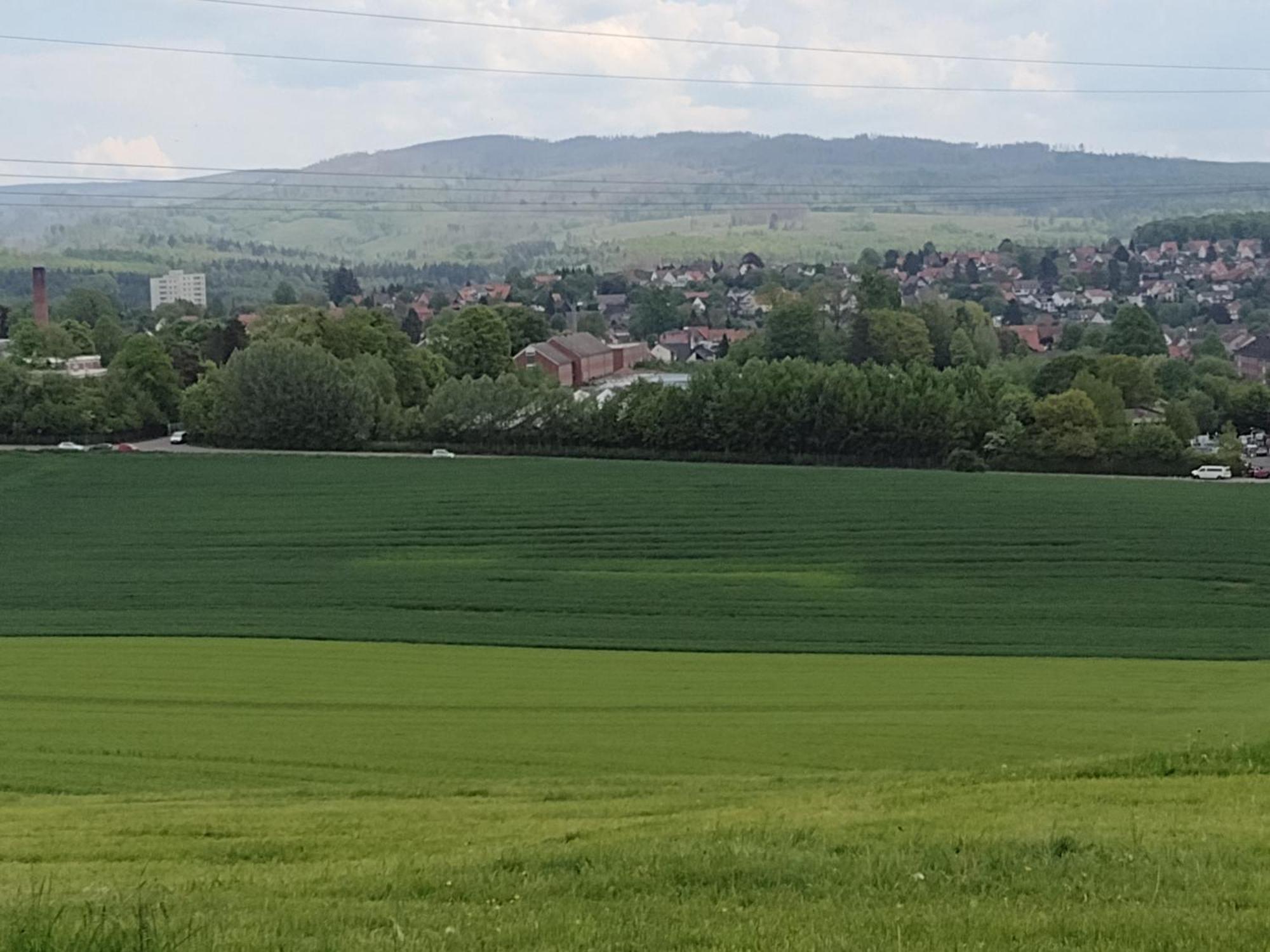Olifant In Osterode Apartman Osterode am Harz Kültér fotó