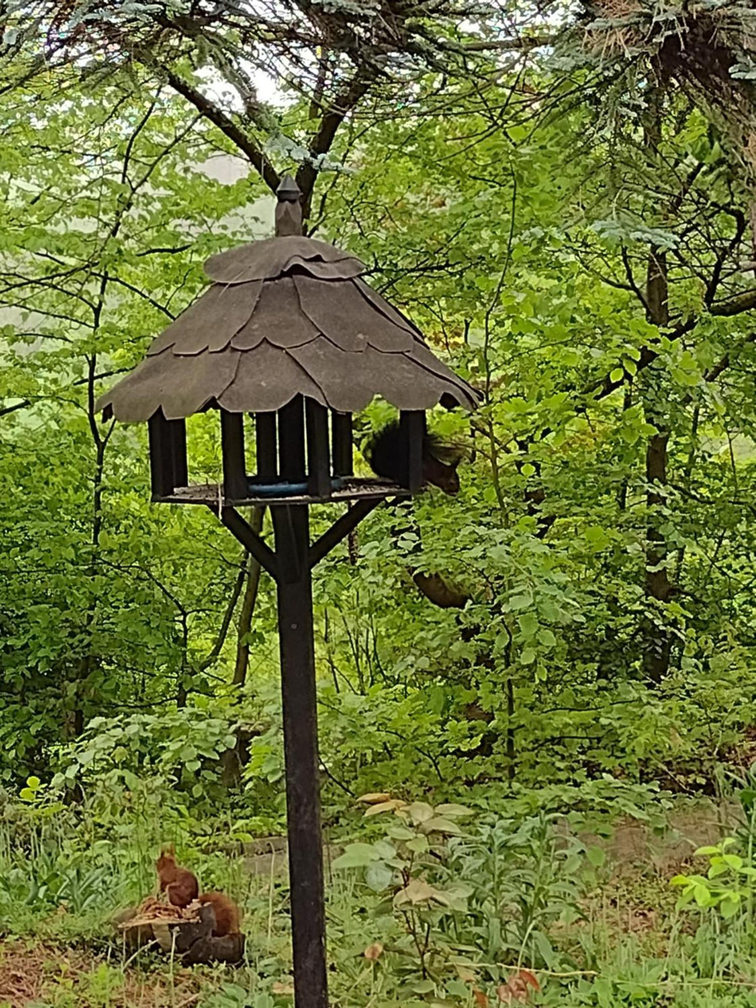 Olifant In Osterode Apartman Osterode am Harz Kültér fotó